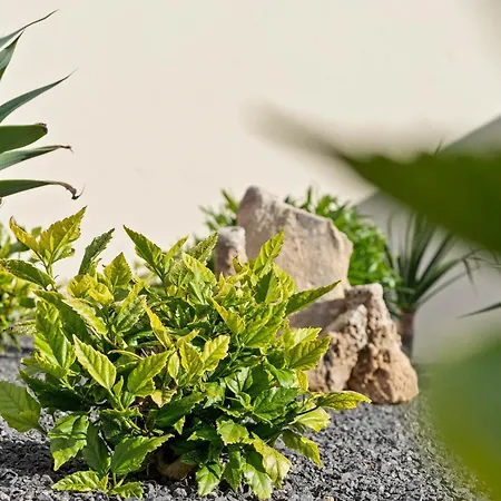 Vakantiehuis Casa Yucca - Island Porto Santo