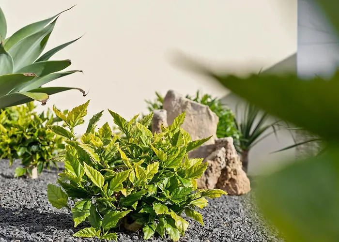 펜션 Casa Yucca - Island 포르투산투